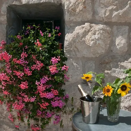 Tomic A-5 לובראן