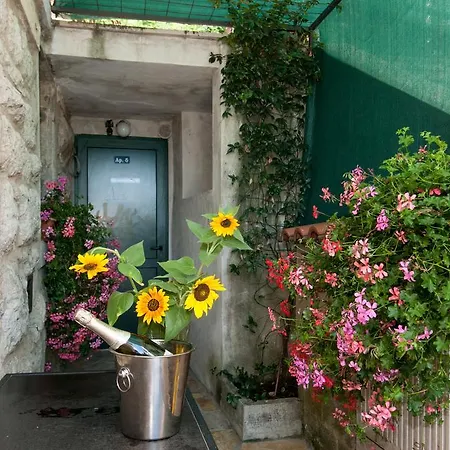 Tomic A-5 לובראן